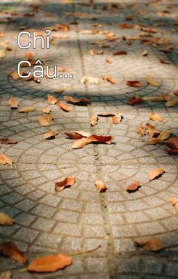 [Tình Trai- Boy love ] Chỉ cậu._ KkPhuong