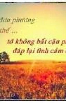 Tình yêu đơn phương