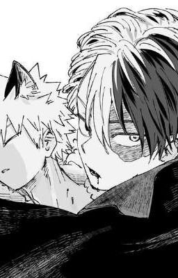 [Todobaku] Tôi yêu em 