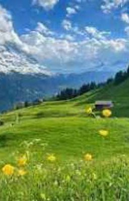 Tôi không ngờ, em cùng sở thích với tôi