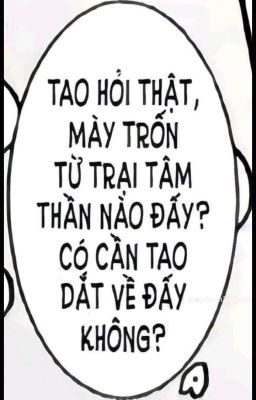 [Tổng] Đời Không Nể Chị