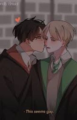 Tổng hợp Drarry - HP