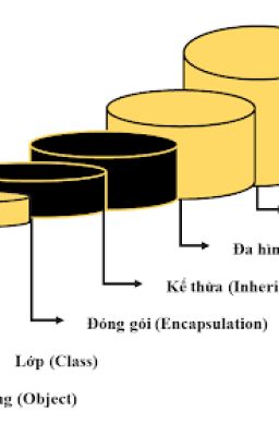Tổng Quan Về Lập Trình Hướng Đối Tượng (OOP) Trong Java