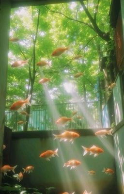 Trả Lại Cho Tôi Mùa Hạ - Khúc Hạ Niên