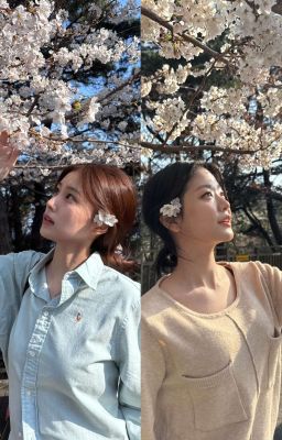 Trái Tim Hyewon và Subin Đang ở Mùa Nào