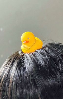 [Trạm Trừng/ABO] Tuyển tập ly hôn 