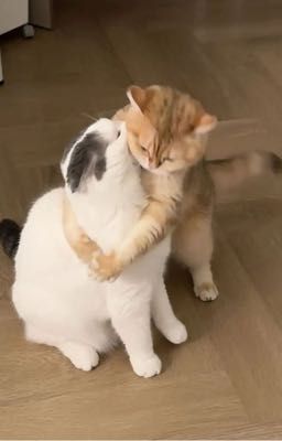 Trùm trường cũng biết sợ vợ