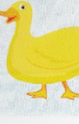 TỪ BẤT TỬ ĐẾN PHI THĂNG