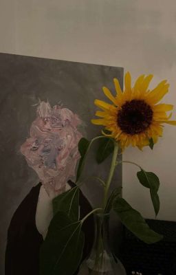 [Tự Viết _BH] Khi Hướng Dương Không Hướng Về Người Nữa 