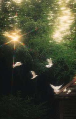 Tuyển tập thơ của Minh Thư aka mtao mthu aka Gwyneth