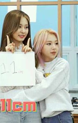 tzuchaeng - chouson