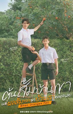 (V-trans) WHEN ORANGES FALL