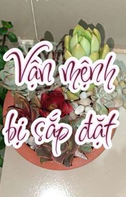 Vận mệnh bị sắp đặt 
