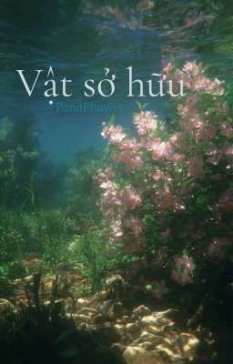 Vật sở hữu