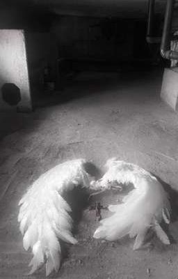 vĩ sơn; thiên nga gãy cánh