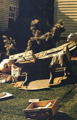 🐍 viper | không trọn vẹn nữa 