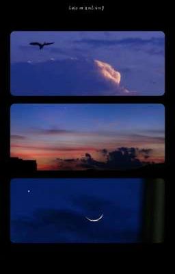 VNF - Có Yêu Không Thì Bảo?