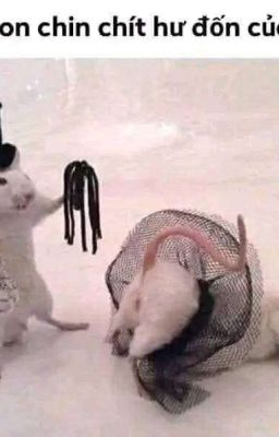 vợ là con đĩ của chồng