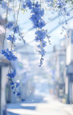 wangje | mùa hoa nở muộn ở Pohang