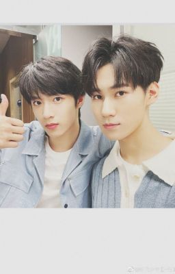 wenyuan; sử dụng dụng cụ chống cắn sai cách