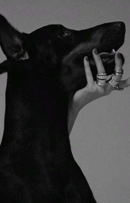 wooseo | hound