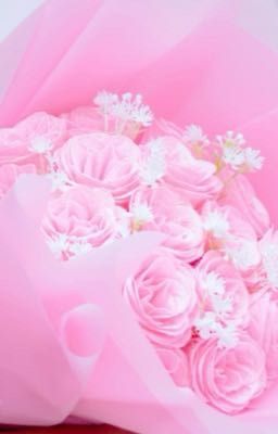 Xin chào thanh xuân