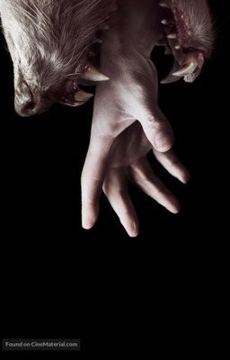 [Xuyên Không Thú Thế] ĐƯỜNG THÚ ĐI