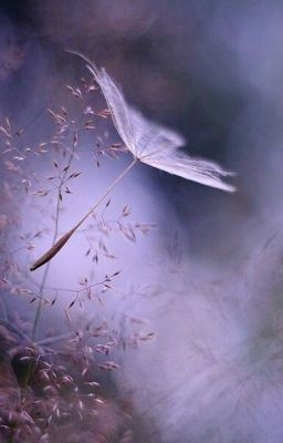 [Xuyên Nhanh] Nam thần, có điểm nhiên!  - Mặc Linh