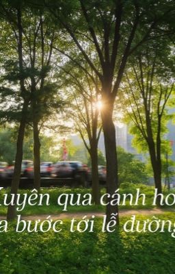 Xuyên qua cánh hoa ta đi tới lễ đường