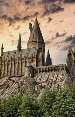 Xuyên vào Harry Potter, tôi đảo lộn cả cốt truyện.