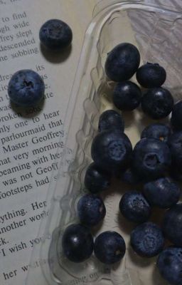 yunju | no scent of blueberries
