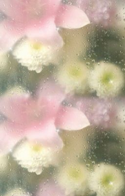 yushi & daeyoung | tình yêu không được đáp lại (transfic)