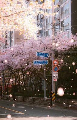 yushi & sion | những ngày tháng tươi đẹp (transfic)