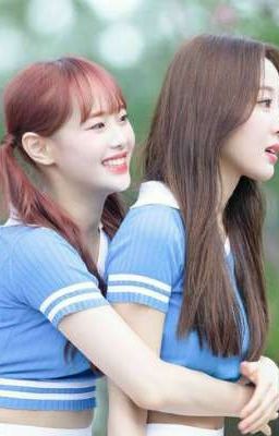  [ Yves x Chuu ] Penguin and swan 