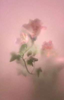 | zeus x doran | yêu đầu.