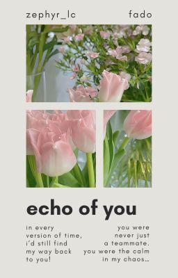 ٠࣪ꫂ 𝒇𝒂𝒅𝒐 ᝰ.ᐟ echo of you