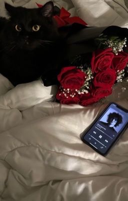 ٠࣪ꫂ 𝒇𝒂𝒅𝒐 ᝰ.ᐟ thương được chưa?