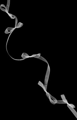 ٠࣪ꫂ 𝒕𝒓𝒂𝒏𝒔𝒇𝒊𝒄 𝒇𝒂𝒅𝒐 ᝰ.ᐟ đặc trưng của thú nhỏ.