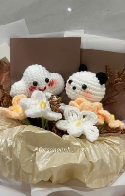୨ Song Anh ୧ Đôi mình