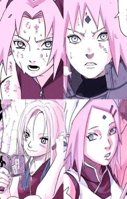 ๐ด๐๐๐๐๐บ๐๐๐