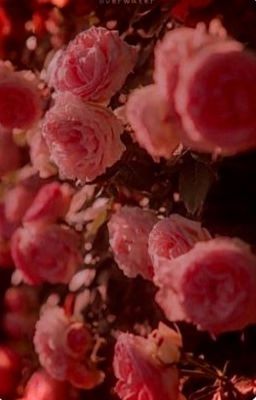 ๐๐ขฬ๐ง๐ก ๐๐ | ๐๐๐ข๐ญ๐๐ง๐ข ๐๐๐ง