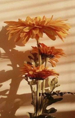 ๐๐๐๐๐๐ | ๐๐๐๐๐๐๐๐๐๐๐' ๐๐ ๐๐๐๐๐