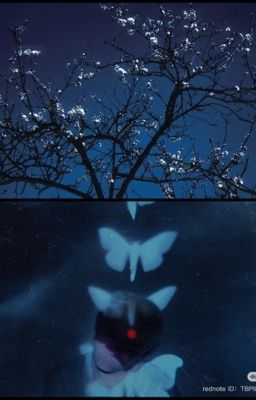 厄夏 ách hạ；metaphor mistaken for evidence