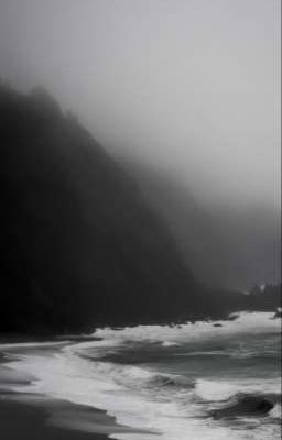 ꜱᴏɴʙɪɴʜ | cho tôi đi theo