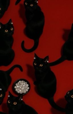 라면 먹고 갈래?