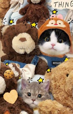 ˙ . ꒷ 🍰 . 𖦹˙- ฅ(•˕ •マ⟆