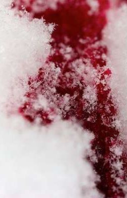 [𝐀𝐢𝐝𝐞𝐧𝐗𝐢𝐲𝐢] 𝐎𝐁𝐒𝐄𝐒𝐒