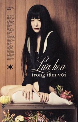 𝐕𝐈𝐇𝐄𝐍𝐃𝐒 | 咫尺烟火 (★) Lửa hoa trong tầm với