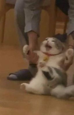 𝐛𝐨̂𝐧𝐠 𝐥𝐚𝐧 𝐭𝐫𝐮̛́𝐧𝐠 𝐦𝐮𝐨̂́𝐢.