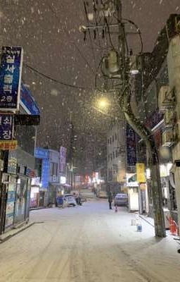 𝐜𝐡𝐨𝐡𝐞𝐧𝐝𝐬 ϑ𐑞 i will go to you like the first snow